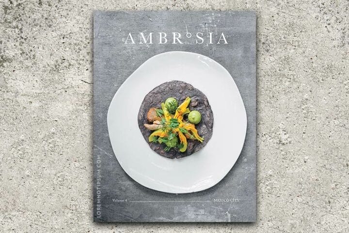 Ambrosia Magazine Volume 4 (Mexico City) – loremnotipsum.com