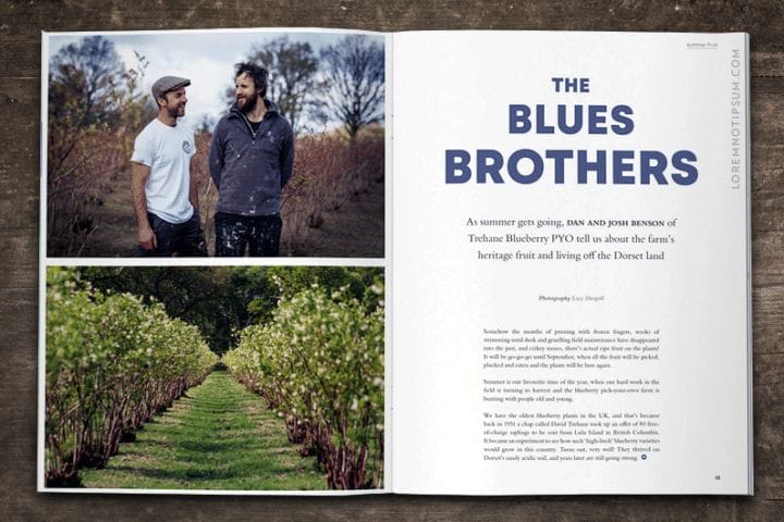 Bloom Magazine Issue 4 – loremnotipsum.com
