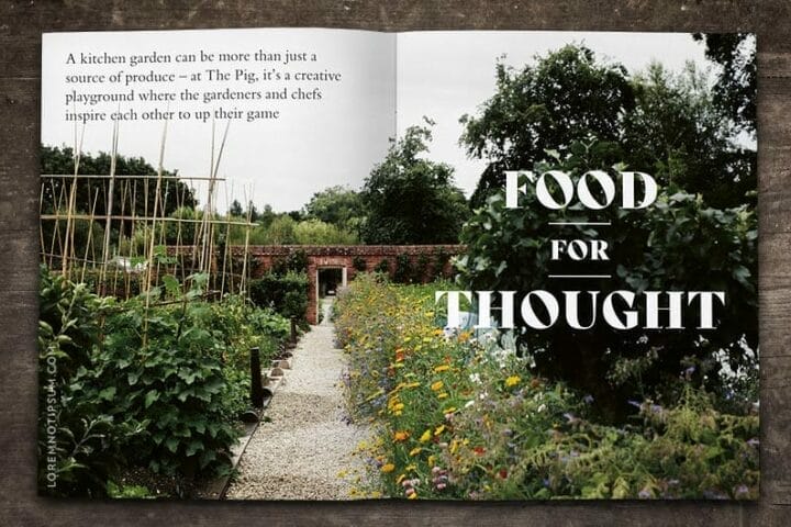 Bloom Magazine Issue 5 – loremnotipsum.com