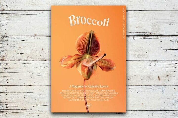 Broccoli Magazine Issue 8 – loremnotipsum.com