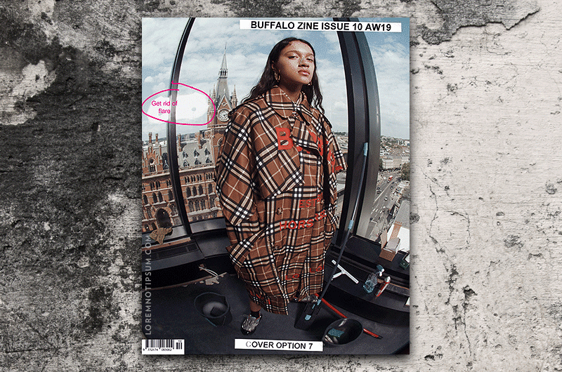 Buffalo Zine No. 10 - Buy from LOREM (not Ipsum)