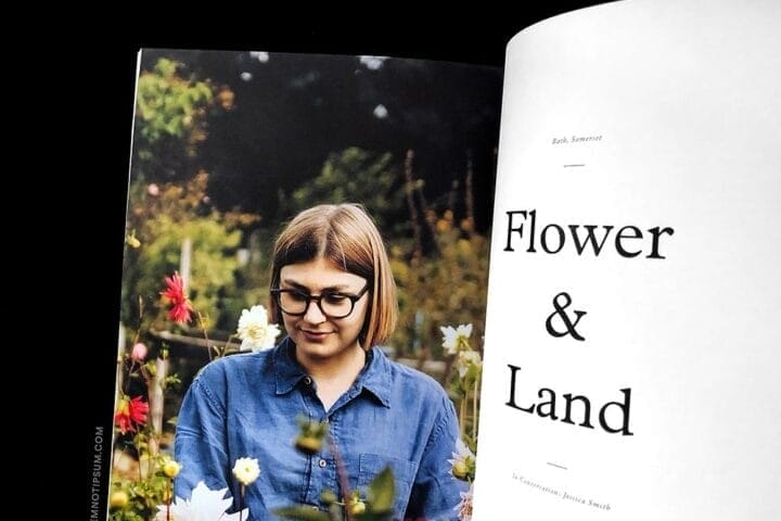 Cedar Magazine Issue 2 – loremnotipsum.com