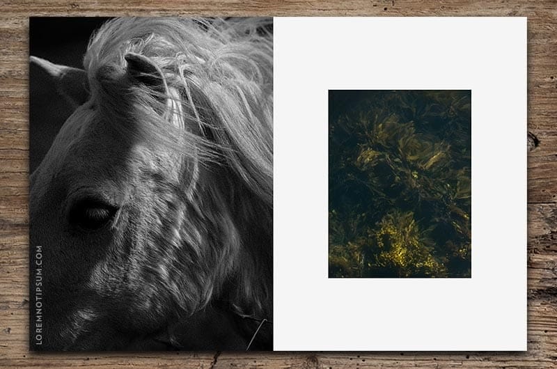 Cereal Magazine Volume 14 – loremnotipsum.com