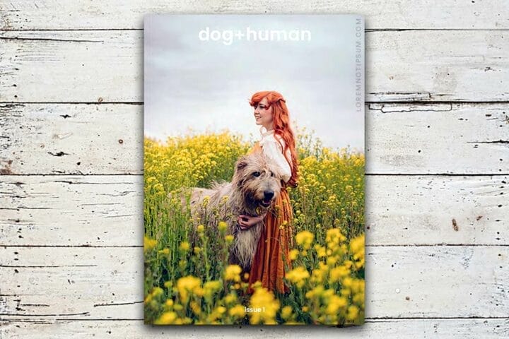 Dog and Human Magazine Issue 1 – loremnotipsum.com