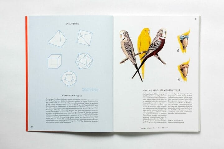 Froh Magazin Nr. 8 (Spiel) – loremnotipsum.com