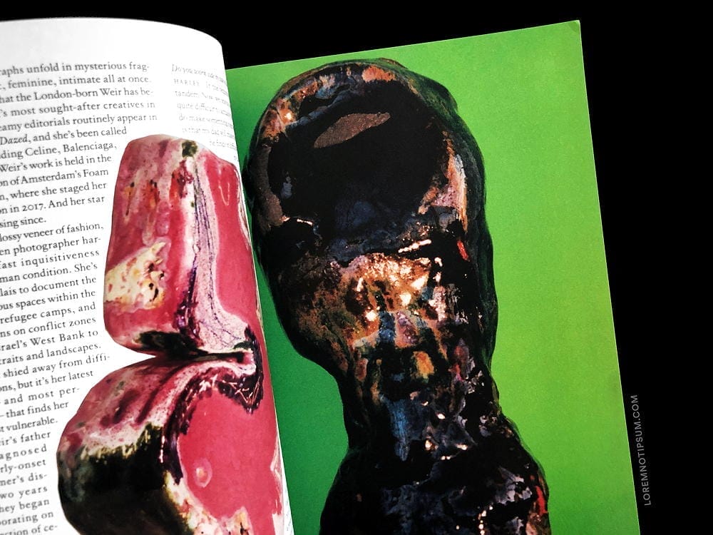 The Plant Magazine Issue 15 – loremnotipsum.com
