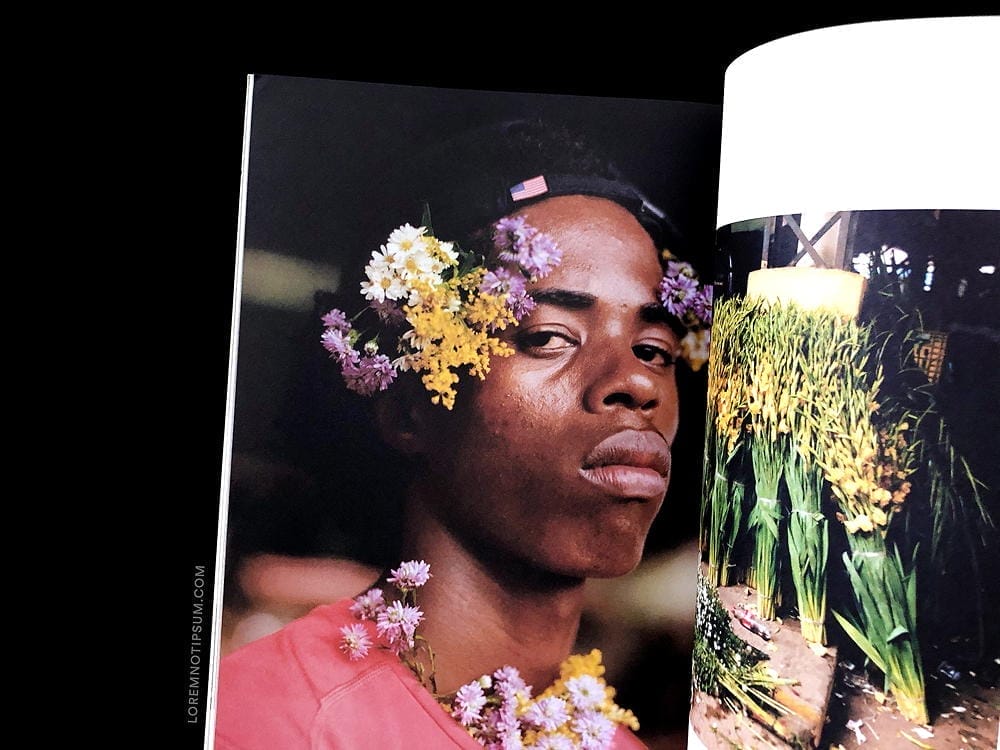 The Plant Magazine Issue 15 – loremnotipsum.com