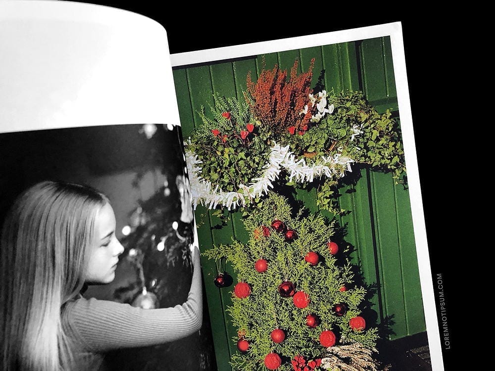 The Plant Magazine Issue 15 – loremnotipsum.com