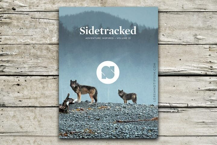 Sidetracked Magazine Volume 13 – loremnotipsum.com