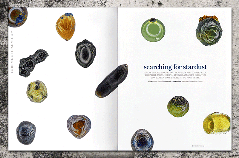 Smith Journal Volume 31 – loremnotipsum.com
