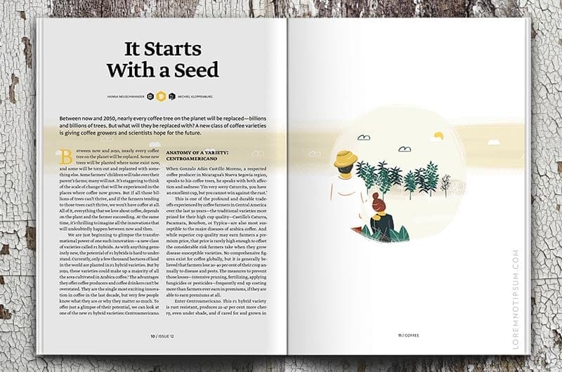 Standart Magazine Issue 12 – loremnotipsum.com