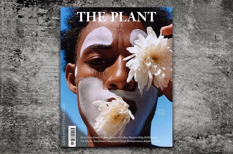 The Plant Magazine Issue 15 – loremnotipsum.com