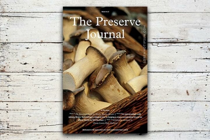 The Preserve Journal Issue 3 – loremnotipsum.com