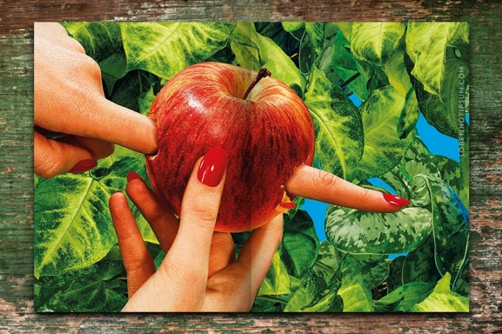 Toiletpaper Magazine Issue 16 – loremnotipsum.com