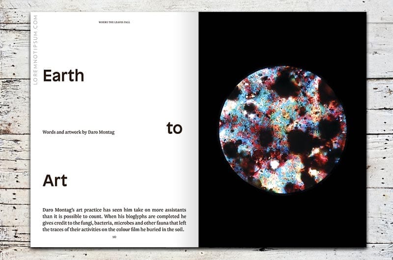 Where The Leaves Fall Issue 1 – loremnotipsum.com