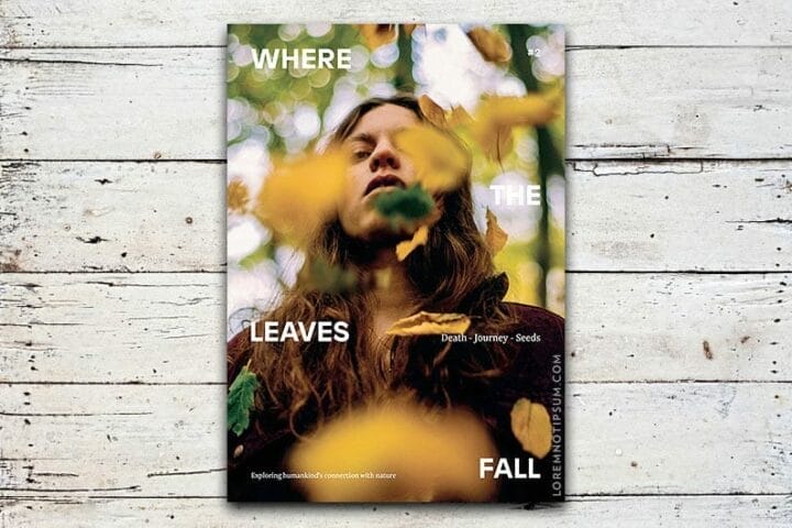 Where The Leaves Fall Issue 2 – loremnotipsum.com