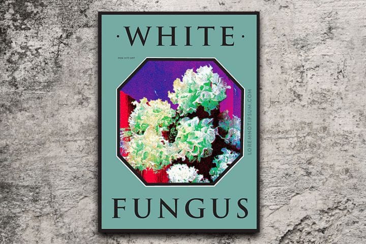 White Fungus Magazine Issue 16 – loremnotipsum.com