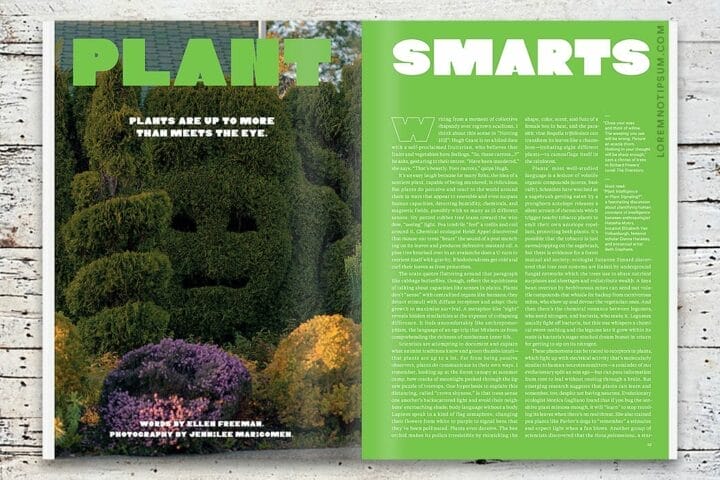 Broccoli Magazine Issue 10 – loremnotipsum.com