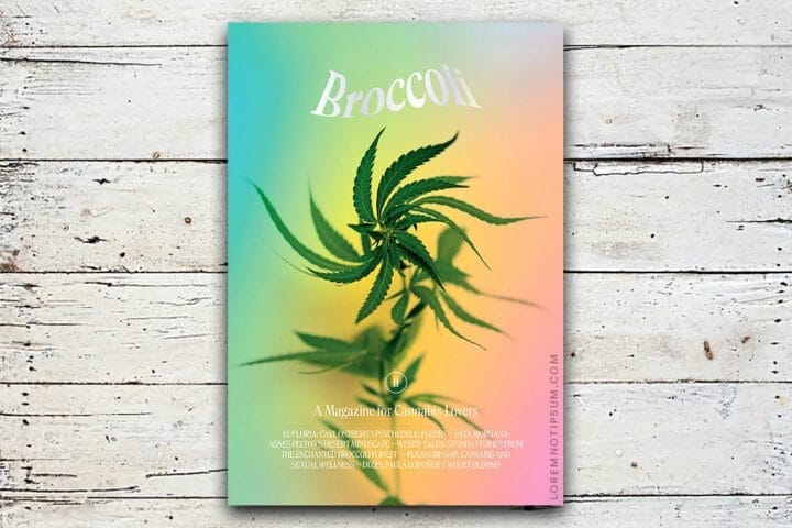 Broccoli Magazine Issue 11 – loremnotipsum.com