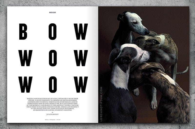 Four & Sons Magazine Issue 9 – loremnotipsum.com