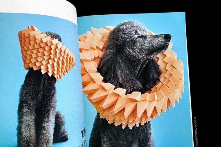 Four & Sons Magazine Issue 10 – loremnotipsum.com