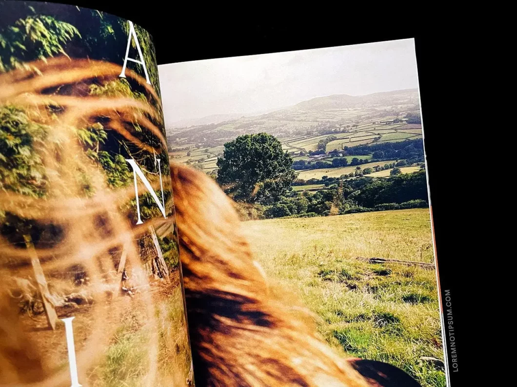 Hole & Corner Magazine Issue 22 – loremnotipsum.com
