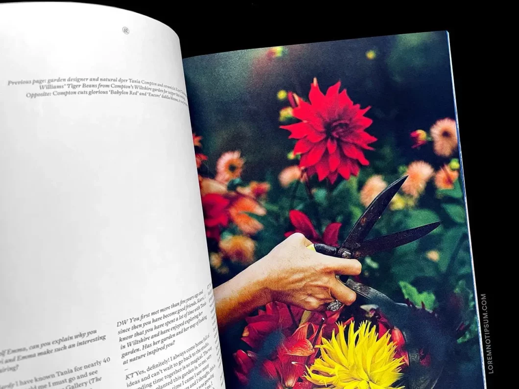 Hole & Corner Magazine Issue 22 – loremnotipsum.com