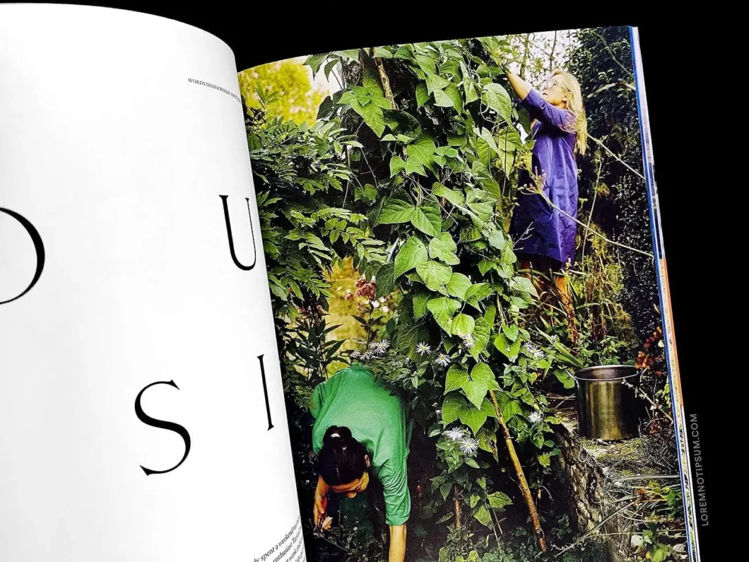 Hole & Corner Magazine Issue 22 – loremnotipsum.com