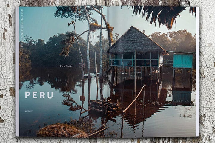 Waves & Woods Magazine Issue 12 – loremnotipsum.com