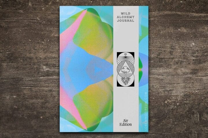 Wild Alchemy Journal Air edition – loremnotipsum.com