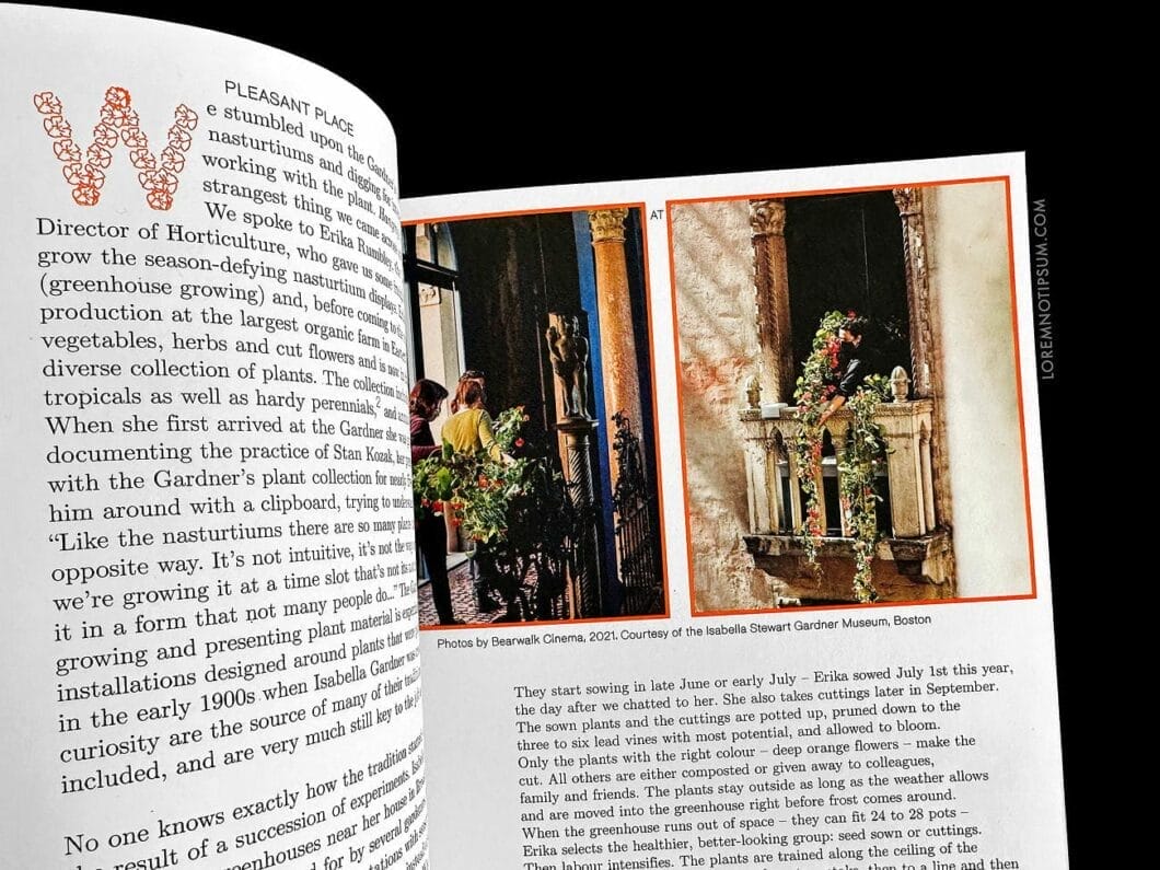 Pleasant Place Issue 2 (Nasturtiums) – loremnotipsum.com