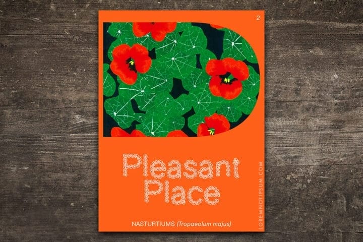 Pleasant Place Issue 2 (Nasturtiums) – loremnotipsum.com