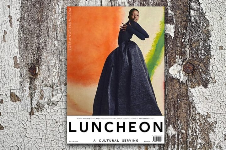 Luncheon Magazine Issue 15 – loremnotipsum.com