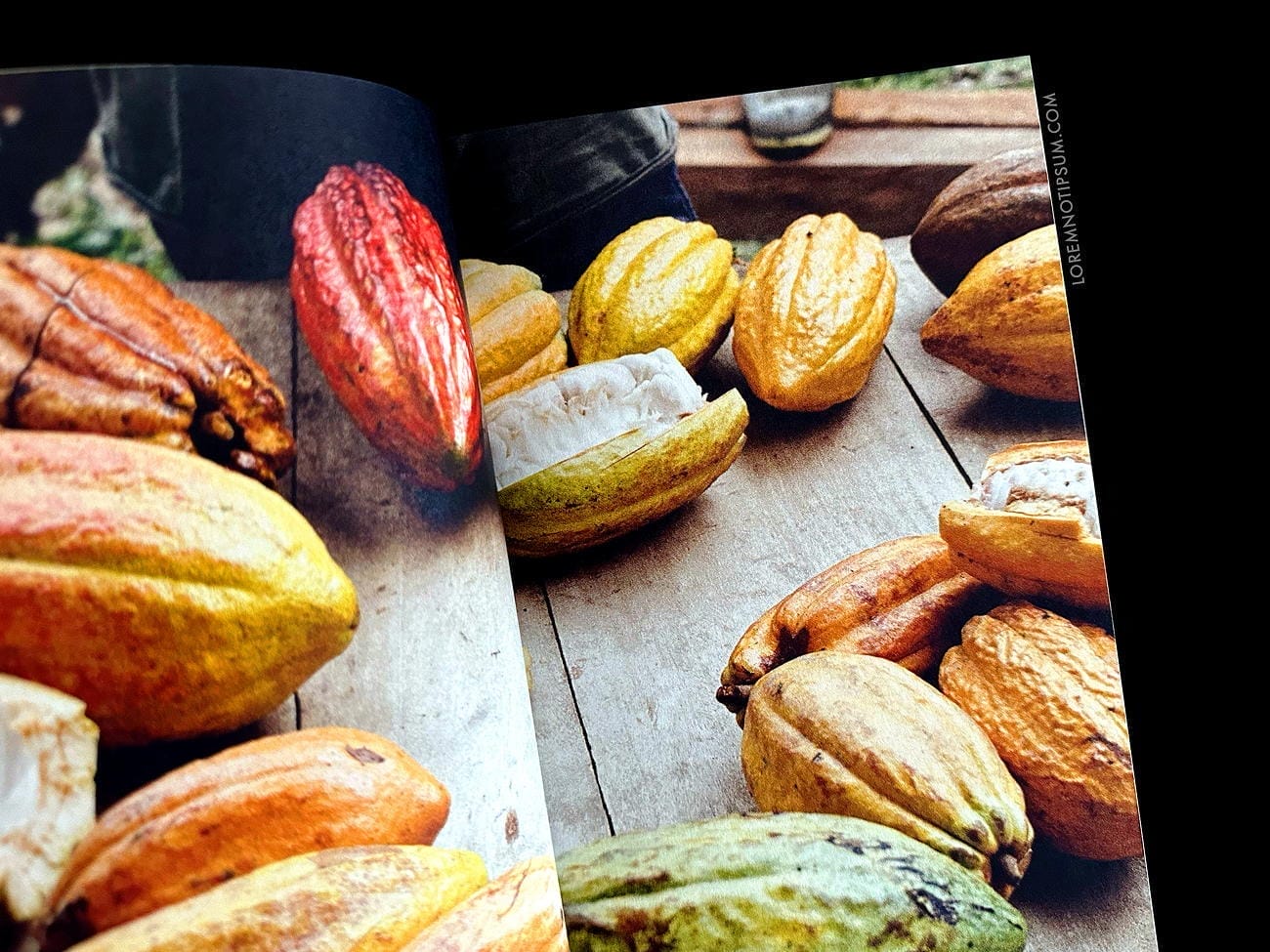The Preserve Journal Issue 9 – loremnotipsum.com