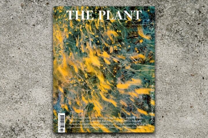 The Plant Magazine Issue 20 – loremnotipsum.com