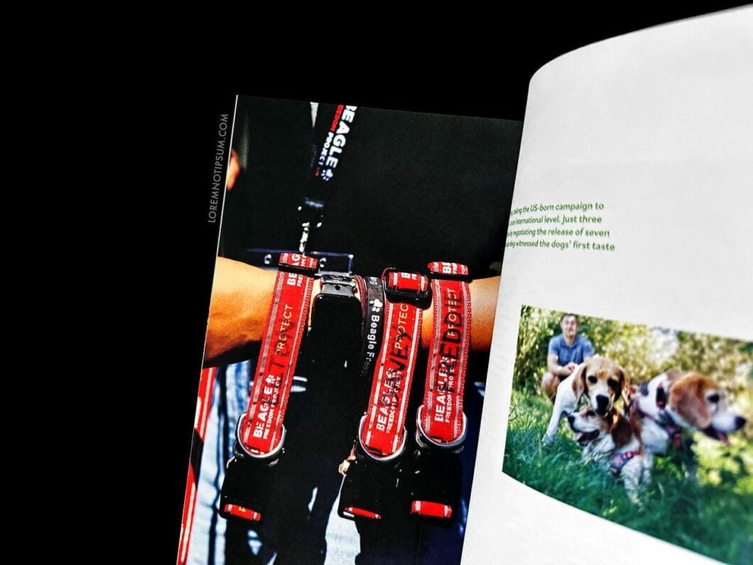 Wunderdog Magazine Issue 8 – loremnotipsum.com