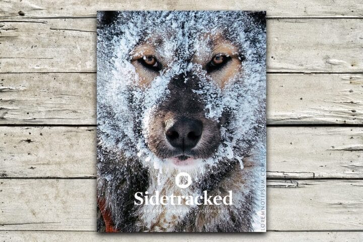 Sidetracked Magazine Volume 29 – loremnotipsum.com
