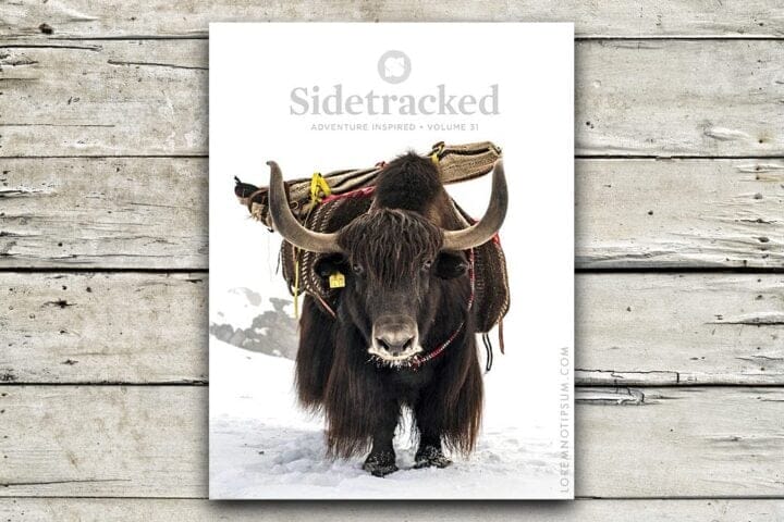 Sidetracked Magazine Volume 31 (Closer to Nature) – loremnotipsum.com
